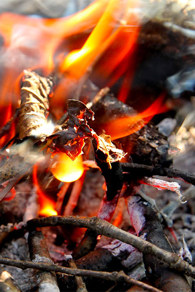 焚き火