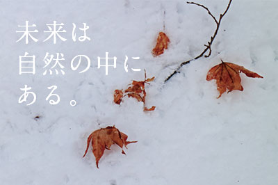 コンセプトブック