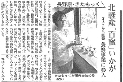 掲載記事